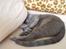Russian Blue Lucky Luke