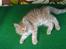 Maine Coon Victor