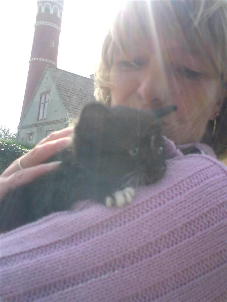 Huskat Findus - Her ser jeg min moar for første gang billede 5