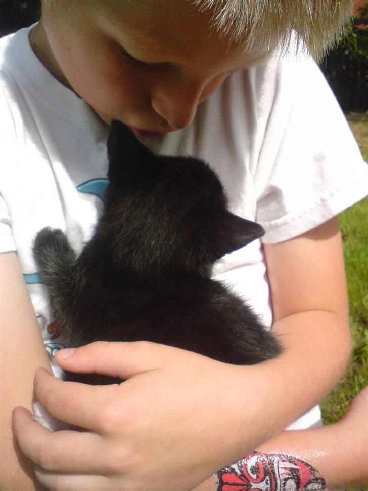 Huskat Findus - Og her møder jeg Alexander. billede 6