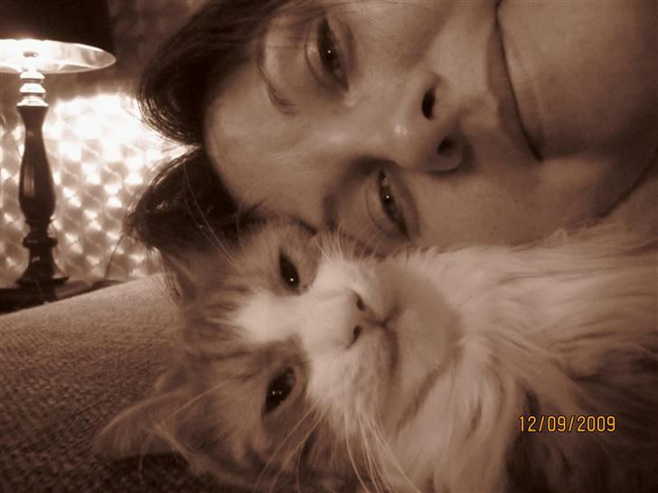 Norsk Skovkat Tiger - Mor og Tiger kærlighed.... billede 4