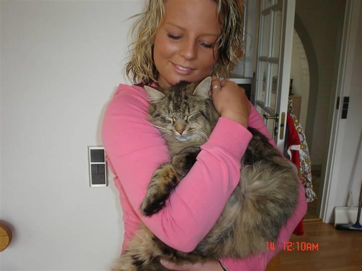 Blanding af racer Gucci - Uhhaa...dét er så god med en kælletur.... billede 16