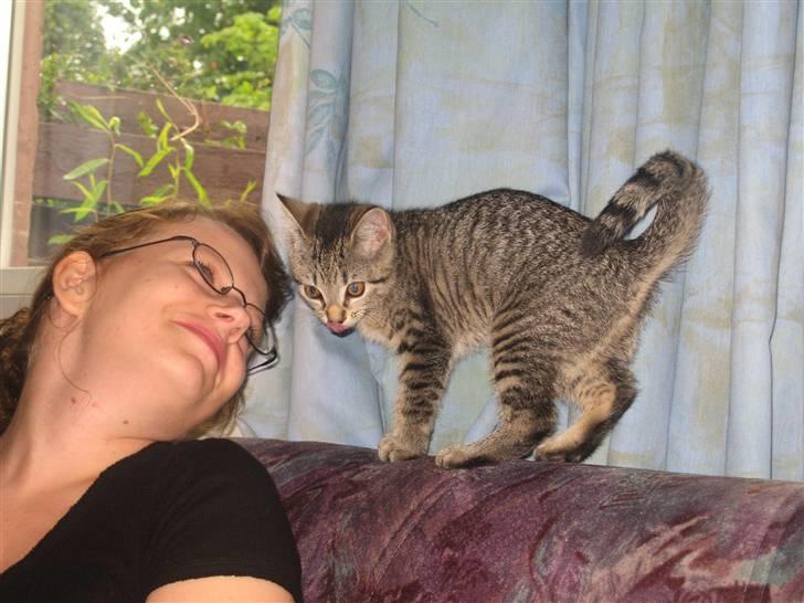 Huskat Toulouse - Toulouse der er legesyg ;P billede 5