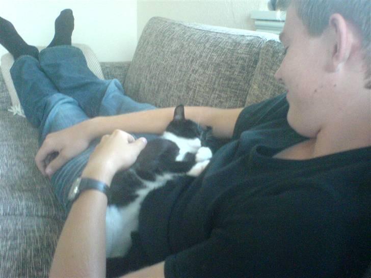 Huskat Sisse - Her ligger jeg og putter med min onkel Daniel billede 15