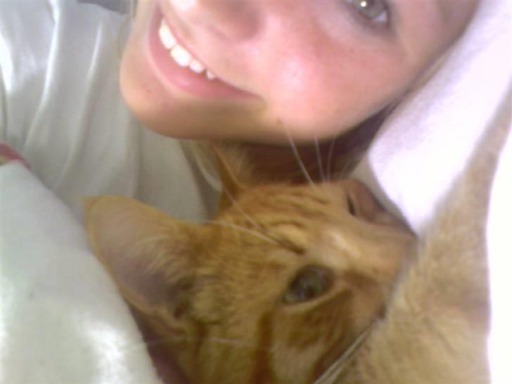 Blanding af racer Sofus - SDofus havde været væk hjemmefra.. hans første nat holdt han mig vågen hele natten fordi han puttede <3 billede 3