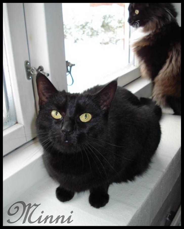 Huskat ^*Minni*^* Perles pige* - Hov hov Mor* kom såå her.... billede 3