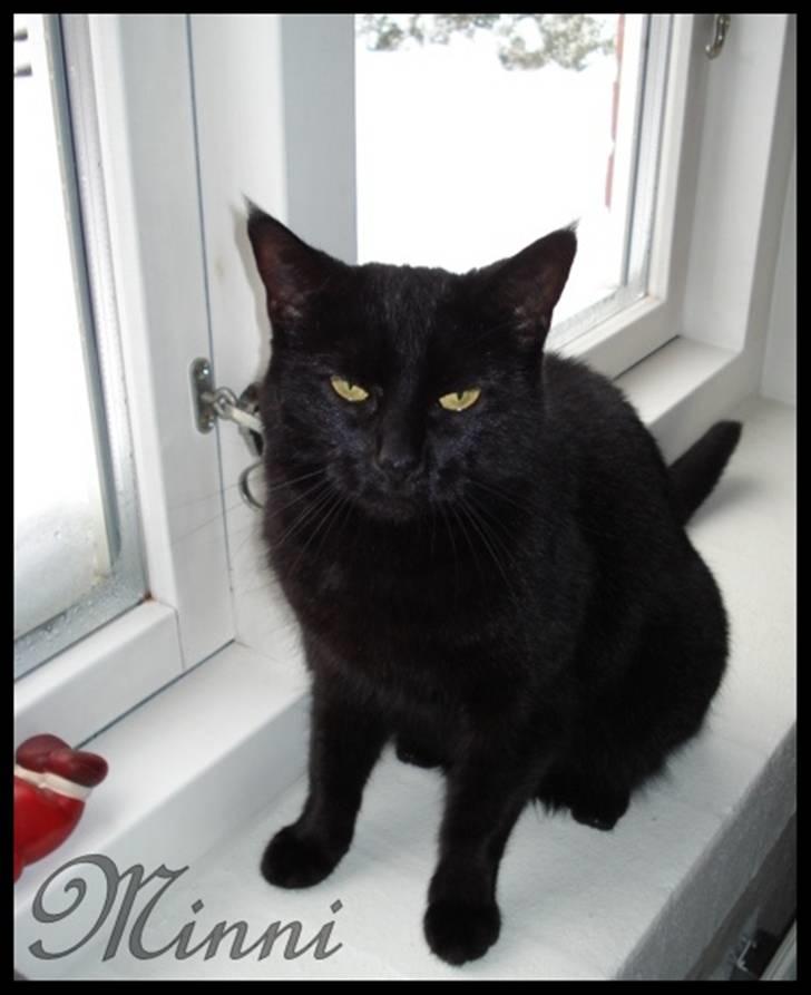 Huskat ^*Minni*^* Perles pige* - Er Hun ikke Sød* billede 1