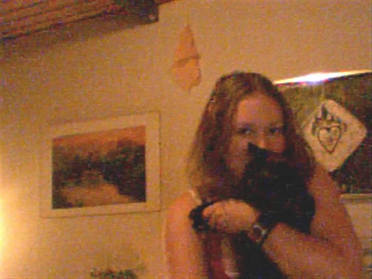 Huskat cassie og tøsen billede 6