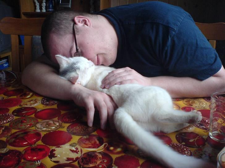 Huskat Sally - her er sally og min bror det var den første gang hun var i løbetid..og alle de hun katte jeg har haft har altid været vild med in bror hehe wird billede 6