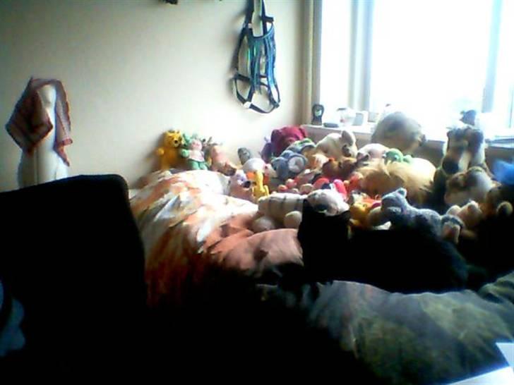 Huskat Greve Plys - Hehe, kan du gætte hvor jeg er? :p billede 1