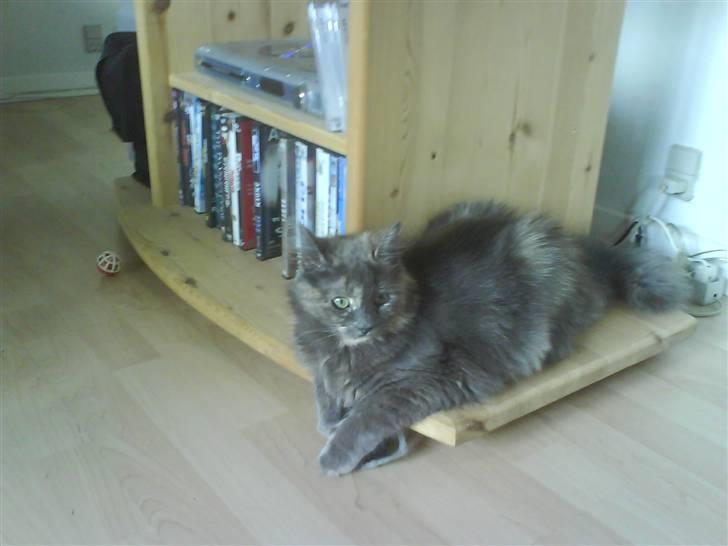 Blanding af racer Fleur R.I.P - Shh... billede 13