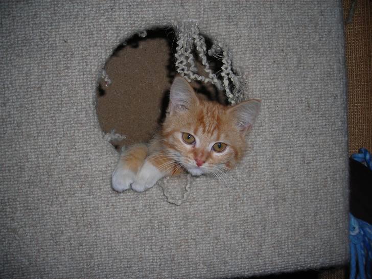 Huskat Muddi <3 miss you 4-ever - Her er jeg så... ( smukke mig) billede 1