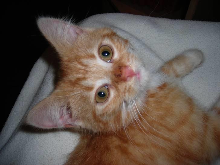 Huskat Muddi <3 miss you 4-ever - efterår 2006 billede 3