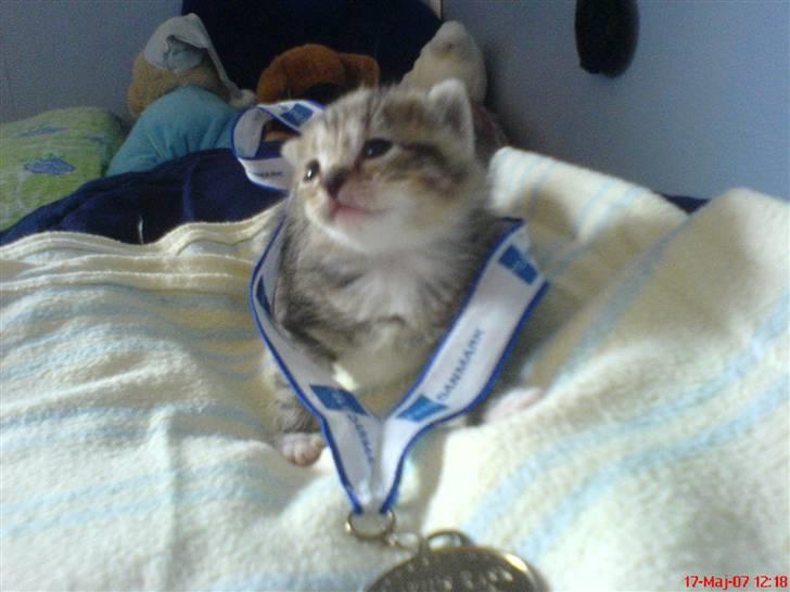 Huskat Piv<3  Savnet<3 billede 2