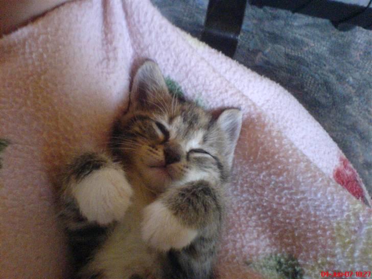 Huskat Piv<3  Savnet<3 billede 12