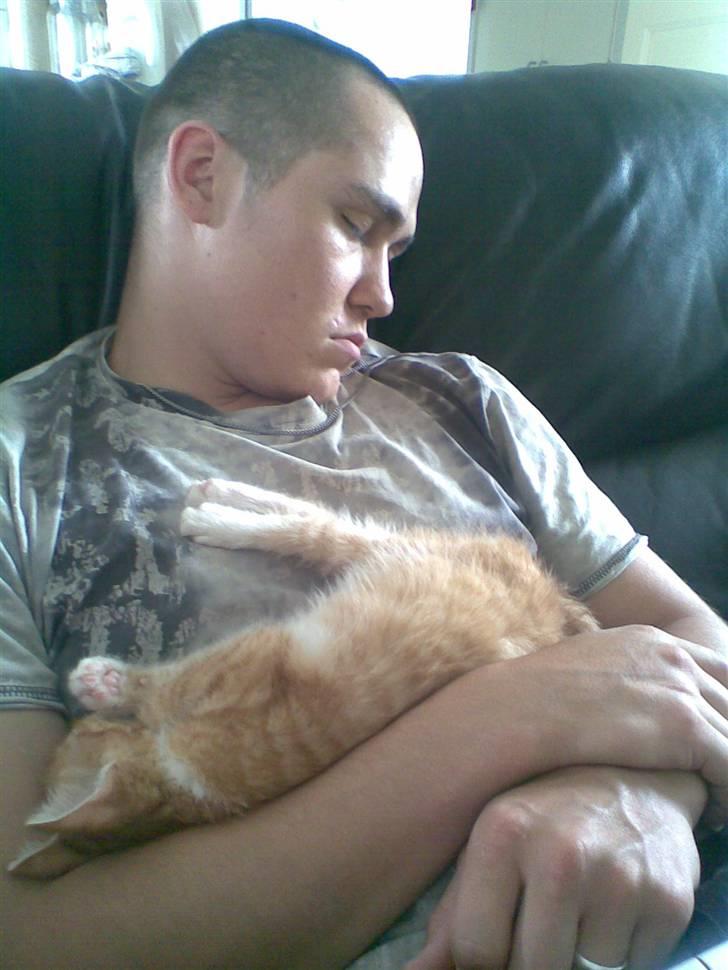 Huskat Basse billede 4