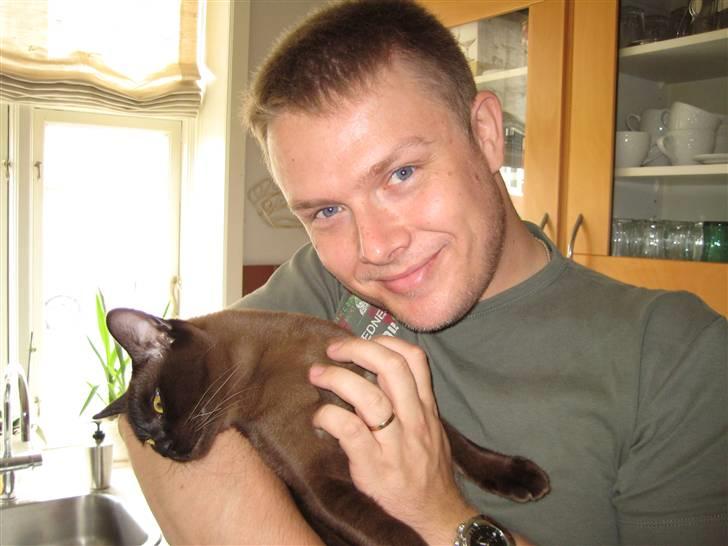 Burmeser Y- Cuba of magicat - Cuba 9 mdr gammel billede 3