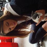 Huskat Gismo.:)