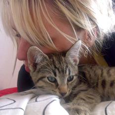 Huskat Nellie Patulny Hovmand