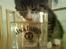 Huskat Whisky - Her drikker jeg af mit whiskyglas... Jack D!