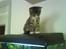 Huskat Whisky