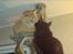 Maine Coon Chilli - Vi kysser...