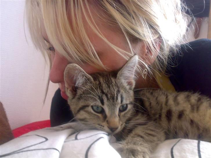 Huskat Nellie Patulny Hovmand billede 2