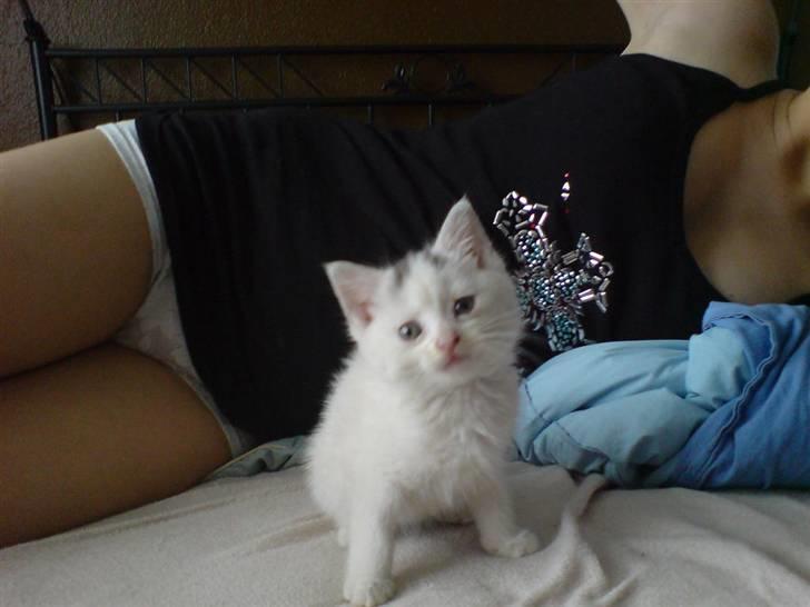 Blanding af racer Minnie - Jeg er lige kommet hjem i mit nye hjem.  billede 2