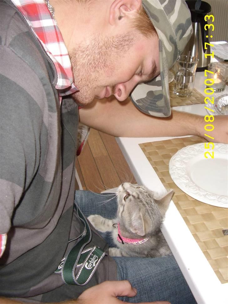 Huskat Mizzi - Hej Mathias :o) billede 8