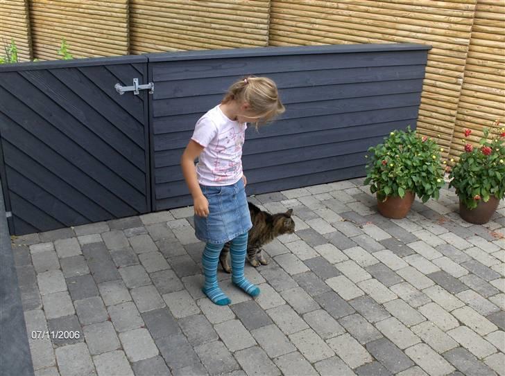 Huskat Pjuske - annesofie og pjuske ( NYT ) billede 7