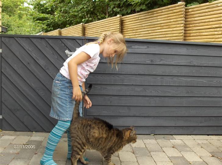 Huskat Pjuske - pjuske hygger ( NYT ) billede 8