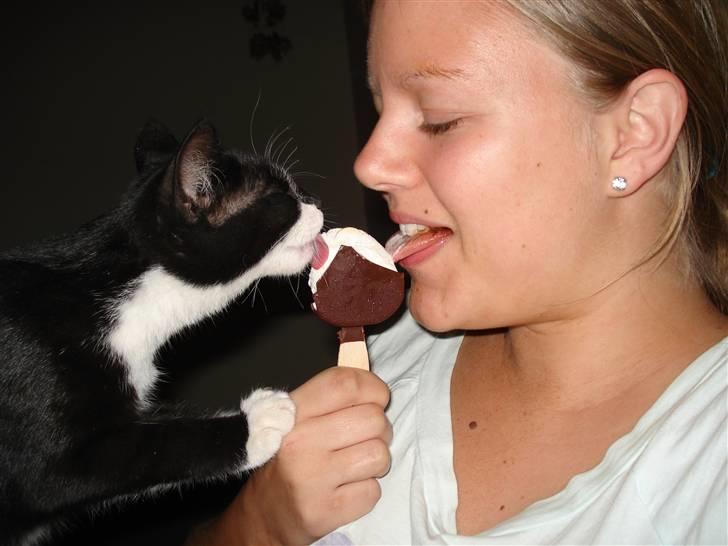 Huskat Sisse - Her deler jeg lige en stor is med mor:o) Mums...... billede 17