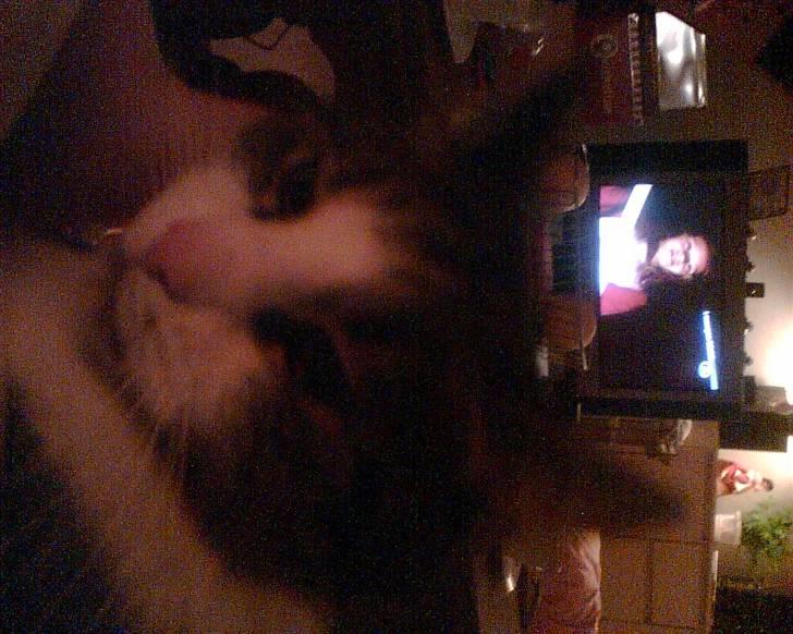 Huskat Molly - Ligger liige og får en lille ´morfar´... billede 7