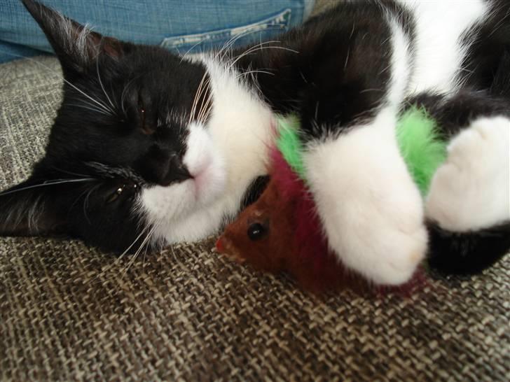 Huskat Sisse - Jeg ligger lige og krammer hygge-musen billede 20