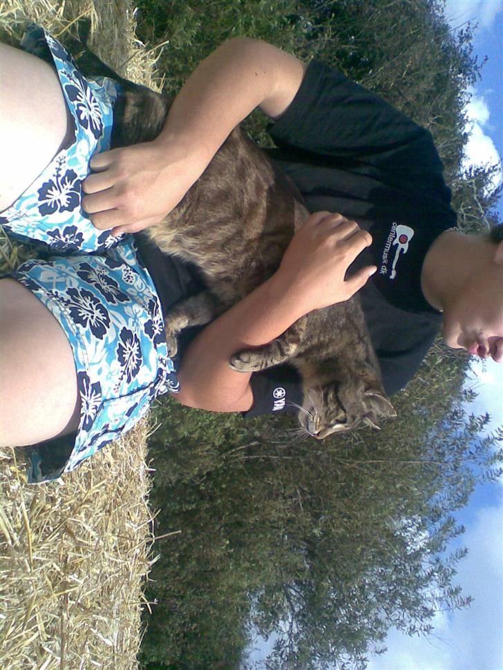 Huskat bitter - Hold nu godt fast i mig tjener! Vi hænger jo på siden!!?!!?!? billede 17