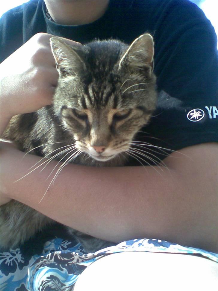 Huskat bitter - ZzZzZzZzZzZzZz billede 20