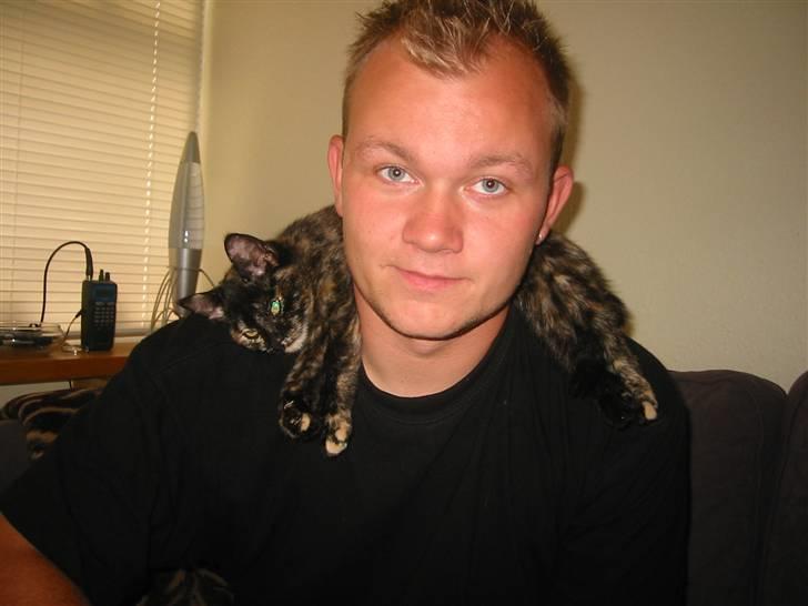 Blanding af racer Denice billede 3