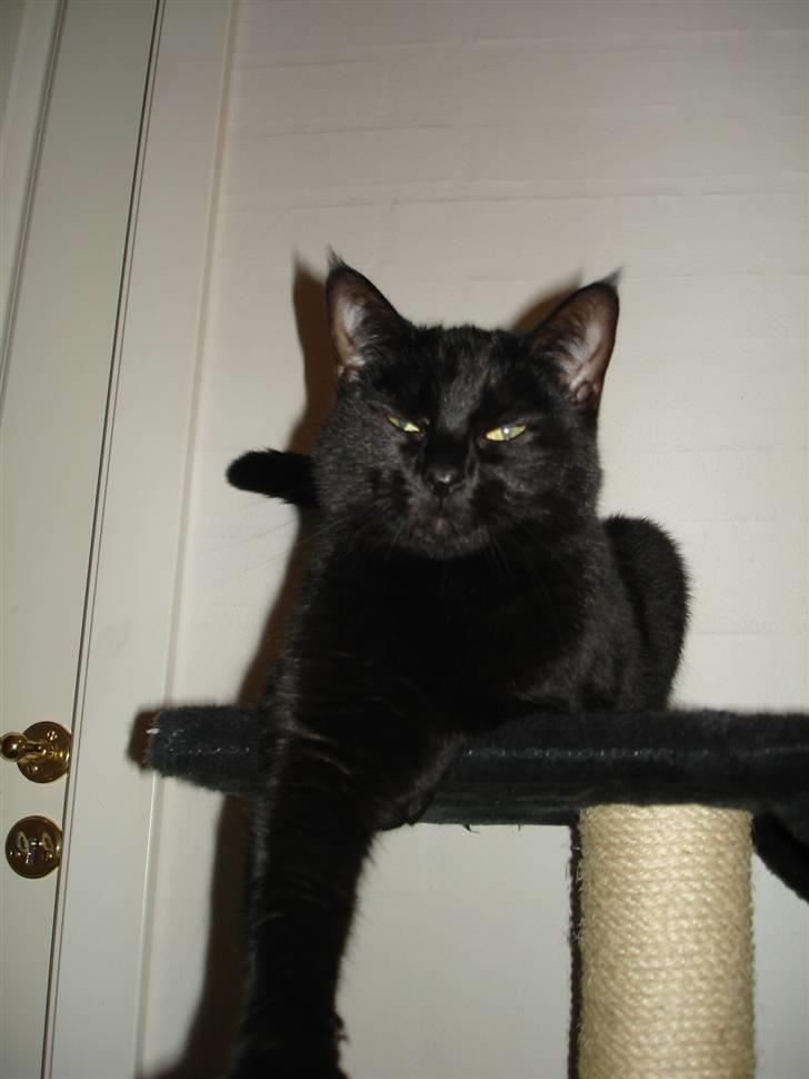 Huskat ^*Minni*^* Perles pige* - Se Mor jeg gør mig lækker.. billede 6