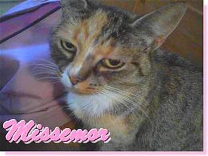 Huskat Missemor billede 14