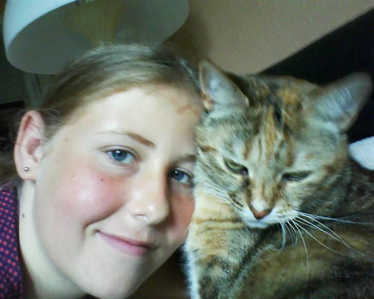 Blanding af racer Pjevs - Hvad er der derude???? billede 11