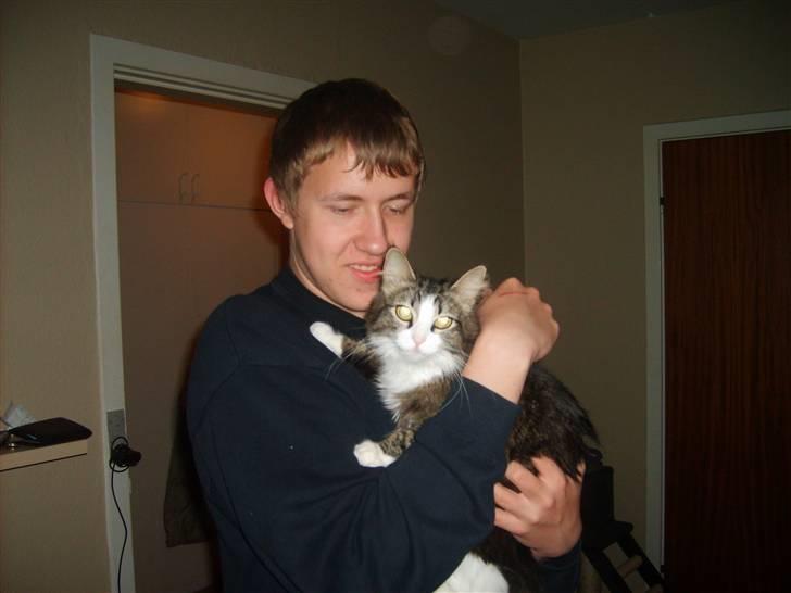 Blanding af racer Pjuske billede 6