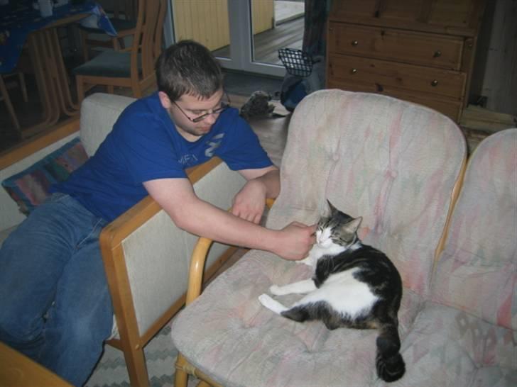 Huskat skipper - JA DET ER DEJLIGT BLIV ENDELIG VED MED DET billede 4