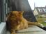 Huskat Garfield Hertz