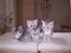 Perser Luna (¤ R.I.P ¤)