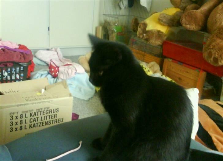 Huskat pjuske *R.I.P* - Se hvor fin jeg er :) billede 2