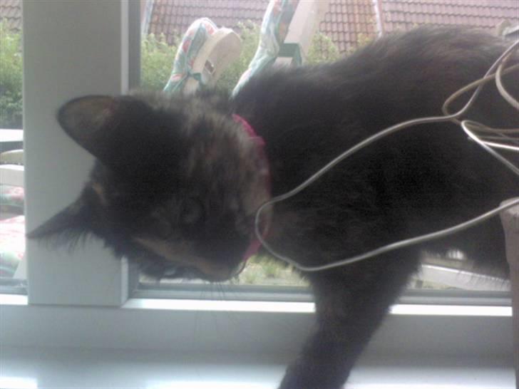 Huskat Naomi (solgt) - Hva det ! =? billede 12