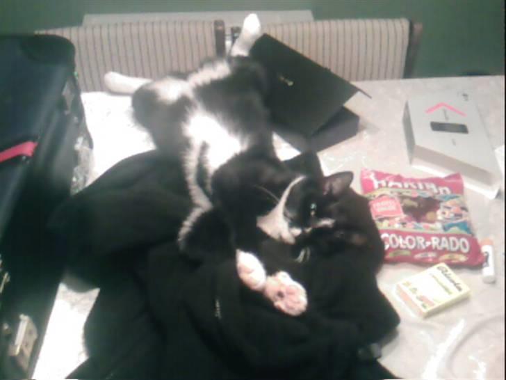 Huskat mika billede 5