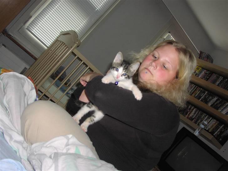 Huskat Gurli R.I.P billede 8