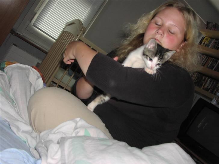 Huskat Gurli R.I.P billede 9