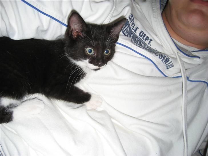 Blanding af racer Nynne - Lidt hygge ved far - han er så sød billede 5